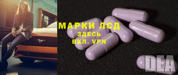 гидра Абаза