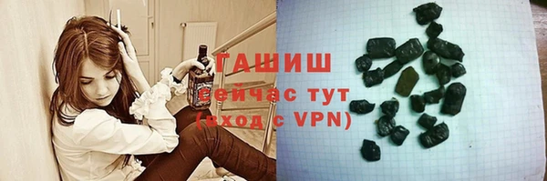 гидра Абаза