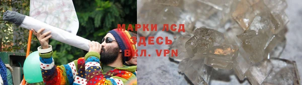 прущие грибы Абинск
