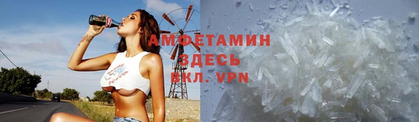 прущие грибы Абинск