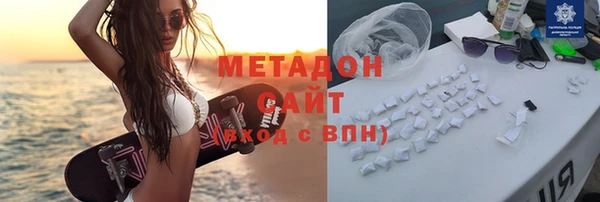 прущие грибы Абинск