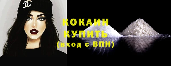 стаф Снежногорск